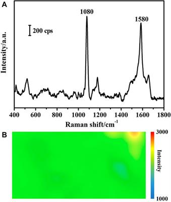 In-Situ Growth of Two-Dimensional Gold Nanoclusters on Glass Surface for On-Site Surface-Enhanced Raman Spectroscopic Detection